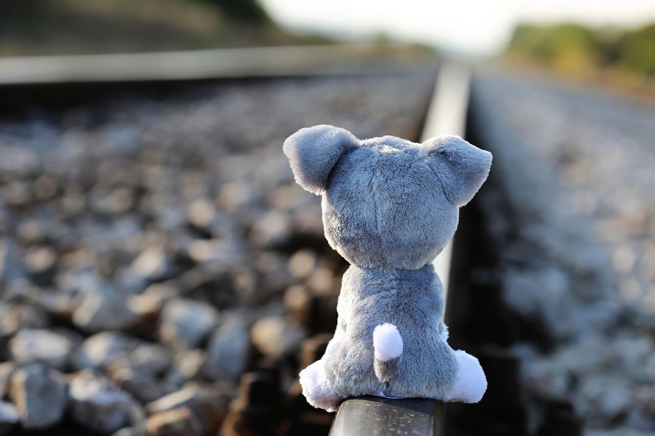 Teddy bear